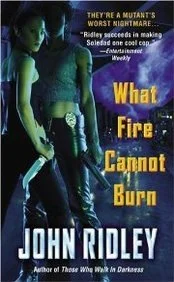 roundaboutbookstore1367029