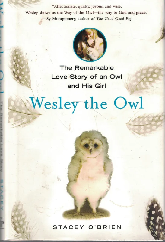 roundaboutbookstore1372708