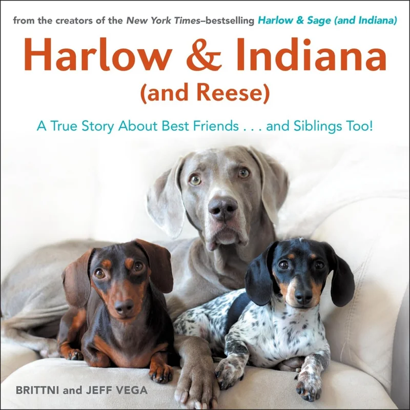 roundaboutbookstore1373153