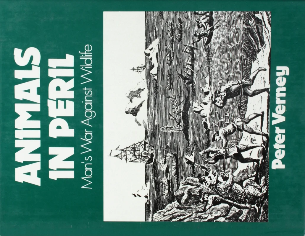 roundaboutbookstore1373179