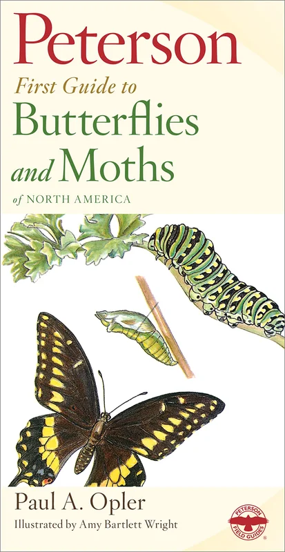 roundaboutbookstore1373464