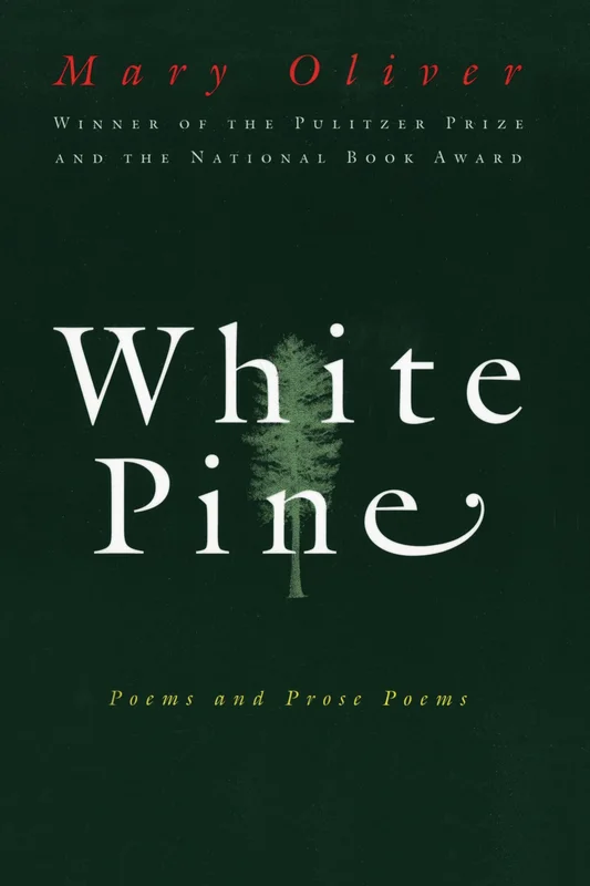 roundaboutbookstore925580