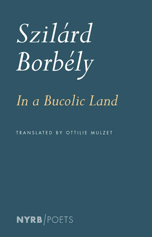 roundaboutbookstore954717